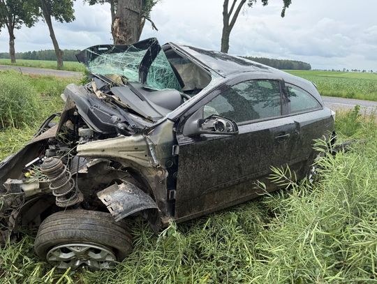 Pijany 18-latek roztrzaskał auto o drzewo. Prawo jazdy miał niespełna cztery miesiące
