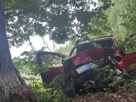 Pijany 20-latek rozbił busa na drzewie. Cztery osoby w szpitalu