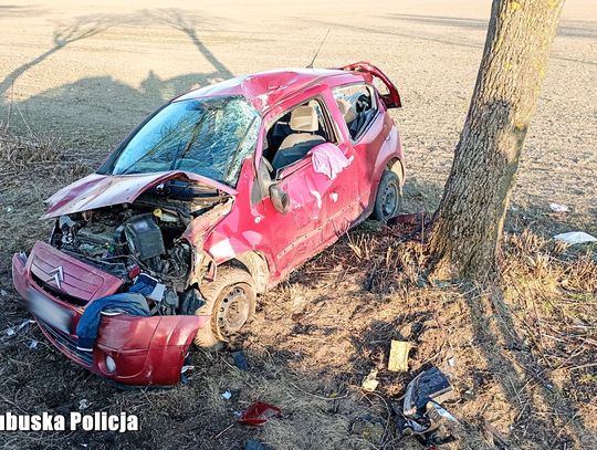 Pijany 40-latek zabrał auto z nieletnim w środku. Chwilę później robili się na drzewie