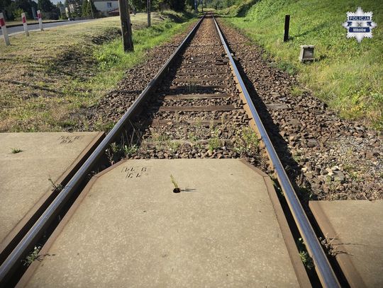 Pijany 56-latek spacerował po torach. Chciał zatrzymać pociąg, by jechać nim do domu