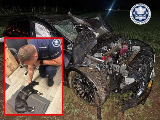 Pijany kierowca doprowadził do zderzenia trzech pojazdów. Policjanci zaopiekowali się psem, z którym jechał