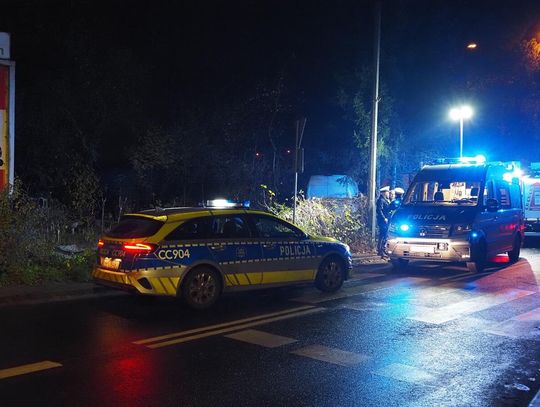 Pijany kierowca dostawczaka wypadł z drogi na posesję. Śmiertelnie potrącił kobietę w ogrodzie