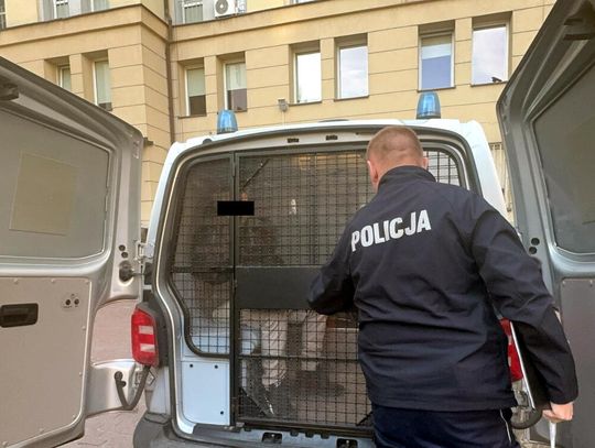 Pijany kierowca po kolizji uciekł z miejsca. Pomylił drogę i wjechał pod drzwi komendy [WIDEO]