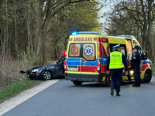 Pijany kierowca uderzył w drzewo, w wypadku zginął 29-letni pasażer
