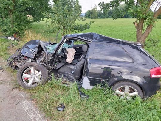 Pijany kierowca wjechał w matkę z dzieckiem. Kobieta zginęła, jej córka jest w ciężkim stanie