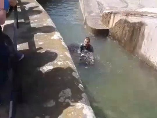 Pijany koleś kontra niedźwiedź w polskim zoo. Walka w wodzie. WIDEO