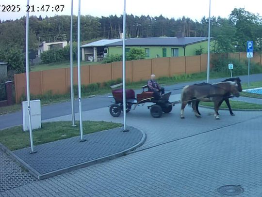 Pijany woźnica zajechał na parking przed komendą. Ma dożywotni zakaz prowadzenia pojazdów mechanicznych