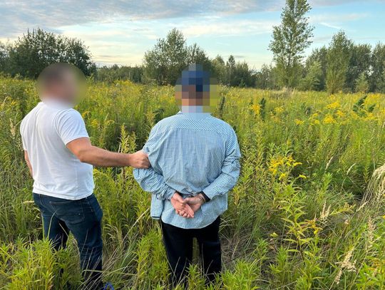 Plantacja konopi ukryta w Warszawie. 47-latek wpadł podczas podlewania roślin