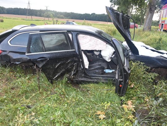 Po pijaku rozbił BMW na drzewie. Za karę przez 10 miesięcy będzie pracował za darmo i jeszcze musi płacić