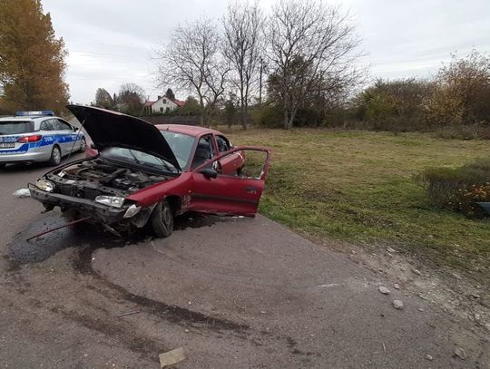 Po pijaku wjechali w ścięte drzewo. W trackie interwencji obok zatrzymał się ciekawski kierowca. Miał 2 promile