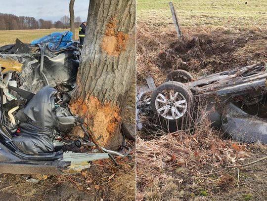 Po uderzeniu w drzewo mercedes rozpadł się na pół. Kierowca 30 metrów od auta [ZDJĘCIA]