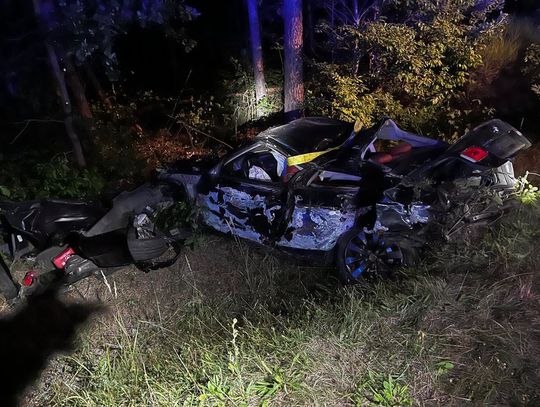 Po uderzeniu w drzewo BMW niemal stanęło pionowo. Kierowca trafił do szpitala [FOTO]