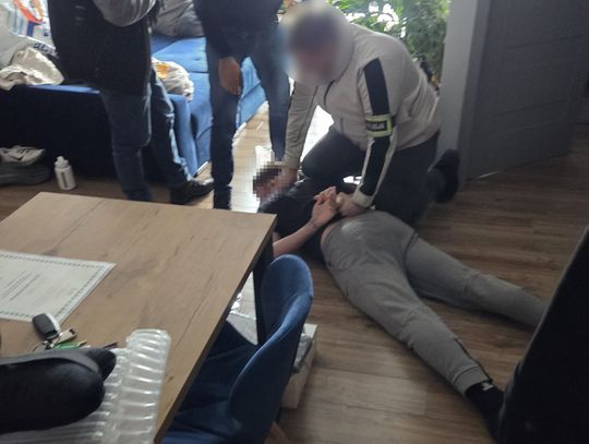 Po wpadce dilera policjanci dotarli do dwóch jego kolegów. 29 i 40-latek odpowiedzą za uprawę konopi