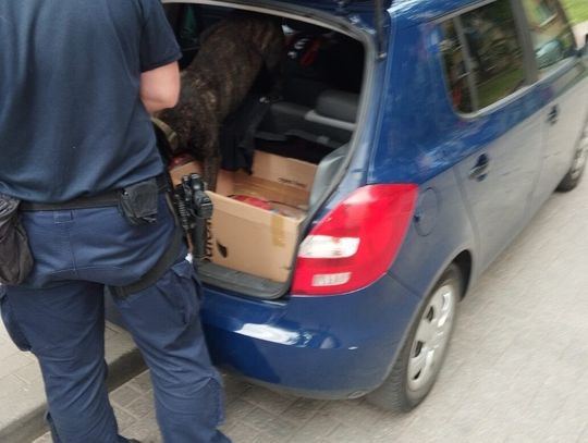 Po zatrzymaniu jednego dilera policja namierzyła jeszcze dwóch. Są w areszcie, stracili towar i pieniądze