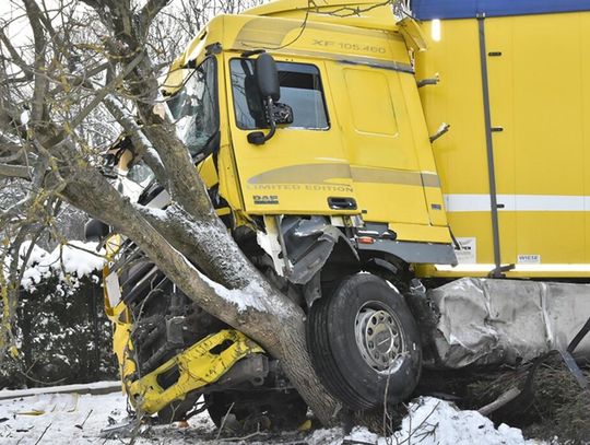 Po zderzeniu z audi ciężarówka zatrzymała się dopiero na drzewie. Wymusił kierowca osobówki Po zderzeniu z audi ciężarówka zatrzymała się dopiero na drzewie. Wymusił kierowca osobówki