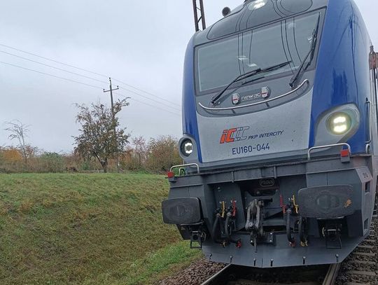 Pociąg potrącił młodego mężczyznę. Zginął na miejscu, policjanci ustalają jego tożsamość