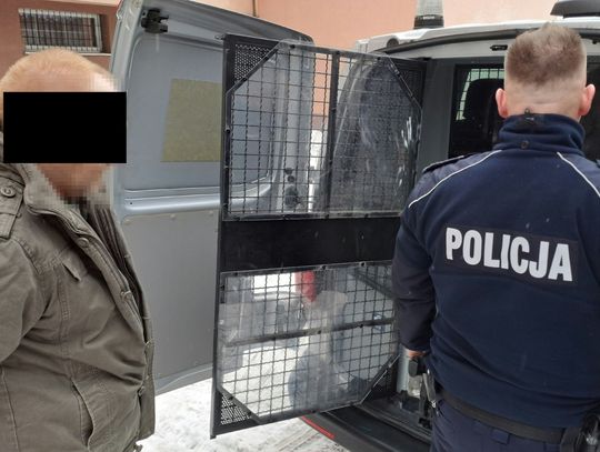 Poczekał aż klienci opuszczą sklep, po czym grożąc ekspedientce nożem zrabował pieniądze z kasy