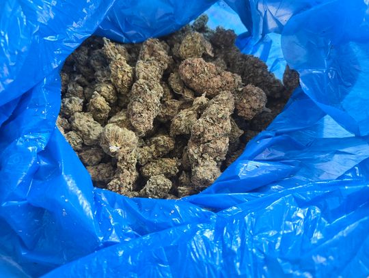 Pod stertą drewna miał skrytkę na narkotyki. Policjanci od dłuższego czasu mieli 33-latka na oku