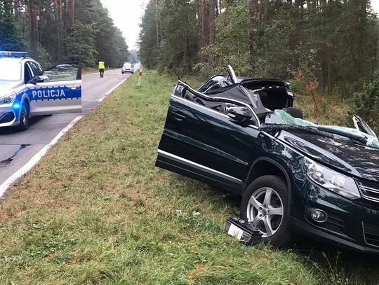 Podczas jazdy na samochód spadło drzewo. Kierowca z poważnymi obrażeniami trafił do szpitala [FOTO]