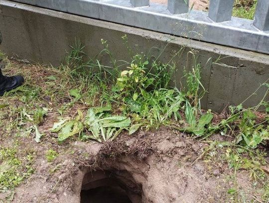 Podkop pod zaporą na granicy z Białorusią. Ponad 20 Afgańczyków przedostało się do Polski