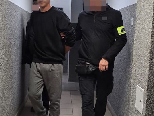 Podpalenia, zniszczenia i kradzież samochodu. 37-latek zatrzymany na gorącym uczynku