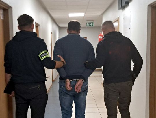 Podpisywali umowy na dzierżawę zwierząt i wyłudzali pieniądze. Wyłudzili tak ponad 8 milionów zł