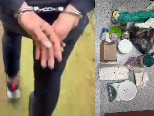 Policja odkryła magazyn narkotyków na ogródkach działkowych. Zatrzymany 41-latek