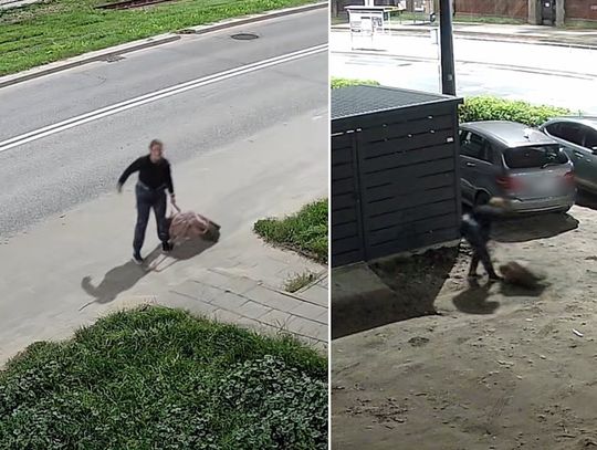 Policja szuka kobiety z nagrania. Zostawiła walizkę, w środku znaleziono martwego psa
