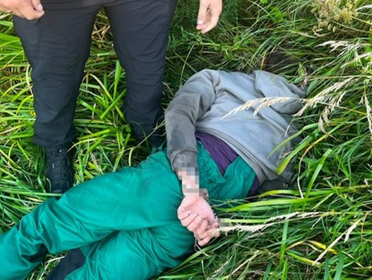 Policjanci czekali na nich przy leśnej plantacji. Dwaj 28-latkowie zatrzymani