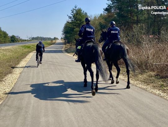 Policjanci na koniach ścigali rowerzystów. Zatrzymany 21-latek miał marihuanę