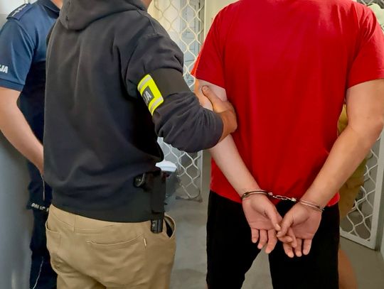 Policjanci napadnięci podczas nocnej interwencji. Zatrzymano trzech agresywnych mężczyzn i kobietę