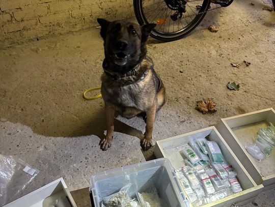 Policjanci obserwowali mieszkanie dilującej pary i w końcu ruszyli do akcji. Przejęty ponad kilogram narkotyków i pieniądze