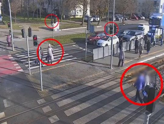 Policjanci obserwowali ruchliwe przejście dla pieszych. Posypały się mandaty. WIDEO