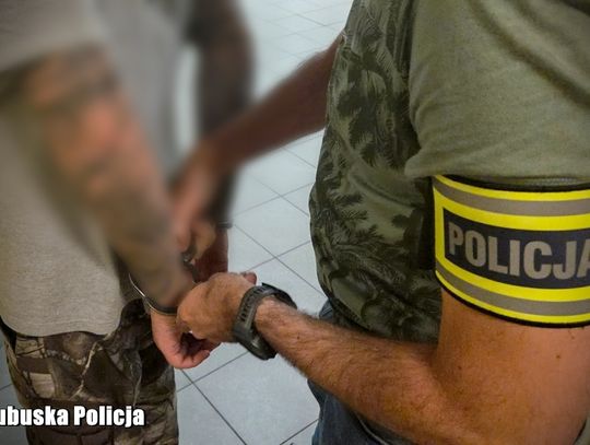Policjanci odkryli leśną plantację zioła. Na miejscu zatrzymano dwóch mężczyzn