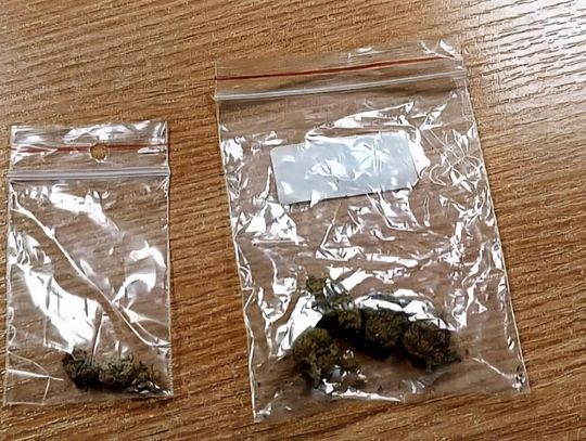 Policjanci podejrzewali, że może mieć zioło w kieszeni i się nie pomylili. 17-latek zatrzymany przed sklepem