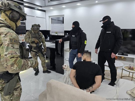 Policjanci przez miesiące rozpracowywali gang. Przestępcy odpowiedzą za narkotyki i kradzieże aut
