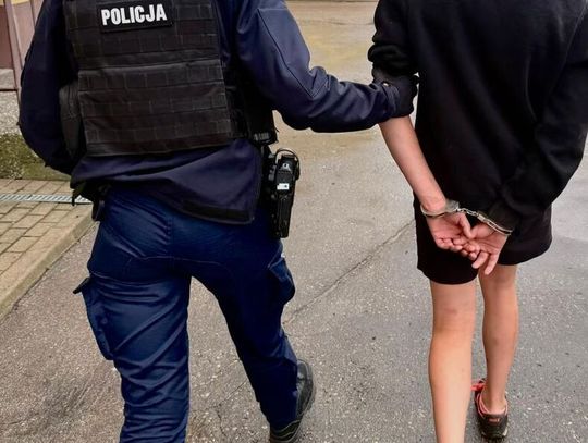 Policjanci przyjechali jej pomóc. Znieważyła funkcjonariuszkę, teraz spędzi 99 dni w areszcie