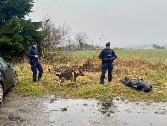 Policjanci ścigali BMW. Kierowca porzucił auto przy lesie i wraz z pasażerami wbiegł między drzewa