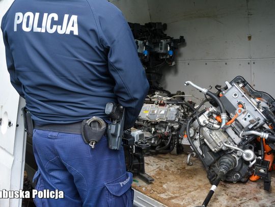 Policjanci szukali skradzionego Hyundaia, znaleźli dziuplę z autami rozebranymi na części