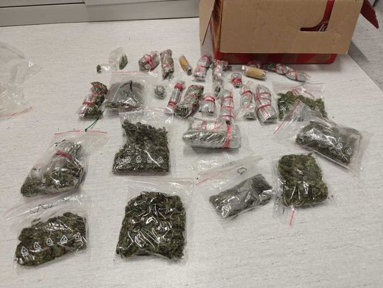 Policjanci ustalili, że 37-latek może mieć narkotyki. Podczas nalotu znaleźli 660 gramów marihuany