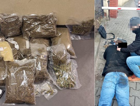 Policjanci z grupy "Kobra" zatrzymali poszukiwanego z dużą ilością narkotyków [ZDJĘCIA]