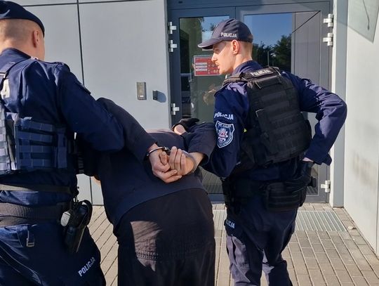 Policjanci z psem weszli na posesję dilera. Znaleźli narkotyki warte ćwierć miliona złotych