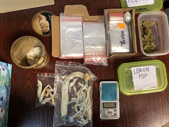 Policjanci zatrzymali 17-letniego dilera. Rozprowadzał narkotyki wśród nieletnich