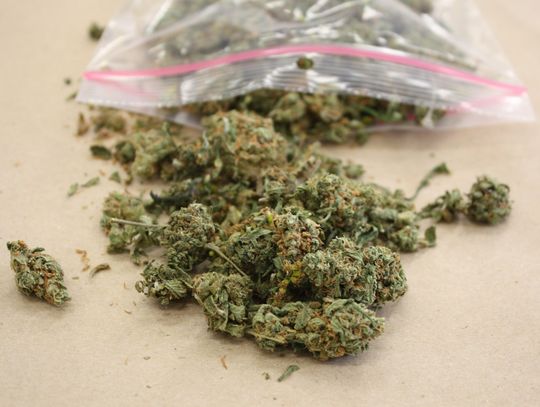 Policjanci zauważyli auto zaparkowane pod mostem. Kierowca i pasażer przyjechali zapalić nad rzeką