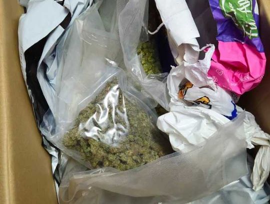 Policjanci znaleźli narkotyki w garażu. Właściciel był w pracy i tam został zatrzymany