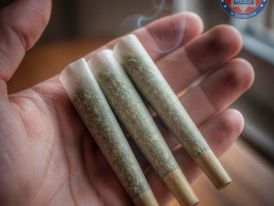 Policjant wyczuł od mężczyzny charakterystyczny zapach. 20-latek miał przy sobie dwa gramy marihuany