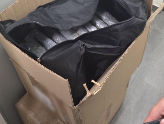 Policyjna zasadzka na dilerów. Wpadli podczas transakcji z ponad 20 kilogramami marihuany