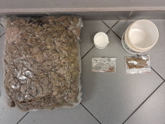 Policyjna zasadzka na szajkę dilerów. Zatrzymali czterech mężczyzn i przejęli 6,5 kg narkotyków