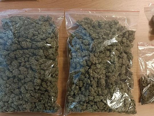 Policyjny nalot zakończony zatrzymaniem dwóch dilerów i przejęciem znacznych ilości narkotyków