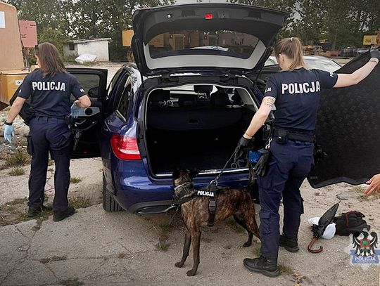 Policyjny nalot zakończony zatrzymaniem dwojga dilerów i przejęciem 10 kg narkotyków [WIDEO]